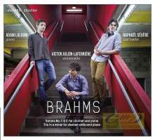 WYCOFANY  Brahms: Sonatas for clarinet and piano